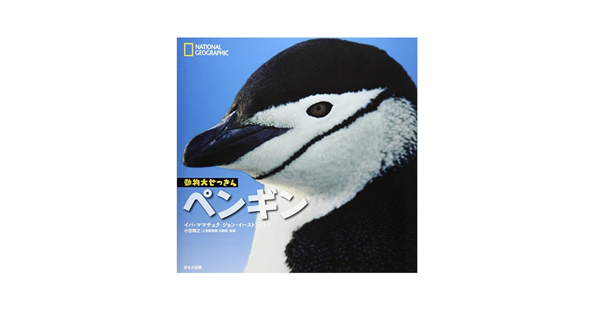 オーストラリア　精巧に再現されたペンギン親子のオブジェ高さ22cm 動物オブジェ ☆ キングペンギン☆等身大フィギュア・動物